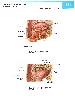 Sobotta Atlas of Human Anatomy  Head,Neck,Upper Limb Volume1 2006, page 120